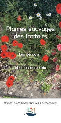 Brochure plantes sauvage