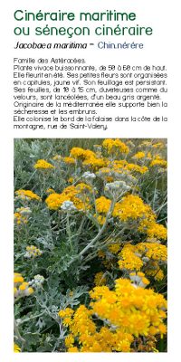 Brochure plantes sauvage 18