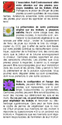 Brochure plantes sauvage 2