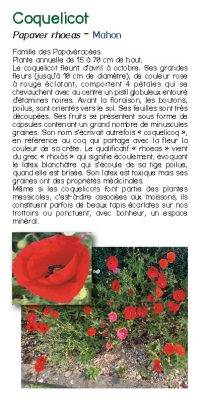 Brochure plantes sauvage 20