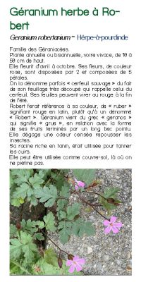 Brochure plantes sauvage 25