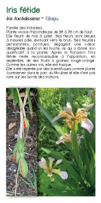 Brochure plantes sauvage 28