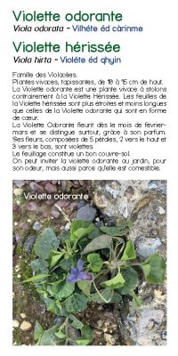 Brochure plantes sauvage 45